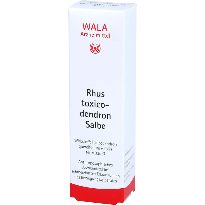 WALA Rhus toxicodendron Salbe, 30 g Onguent