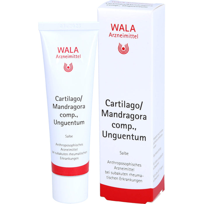 WALA Cartilago/Mandragora comp. Salbe bei subakuten rheumatischen Erkrankungen, 30 g Ointment