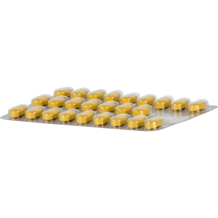 Tebonin intens 120 mg Filmtabletten zur Leistungsstärkung des Gehirns und zur Durchblutung, 200 pcs. Tablets
