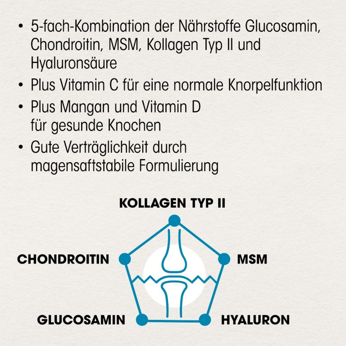 Dr Böhm Gelenke & Knorpel Tabletten, 120 pcs. Tablets