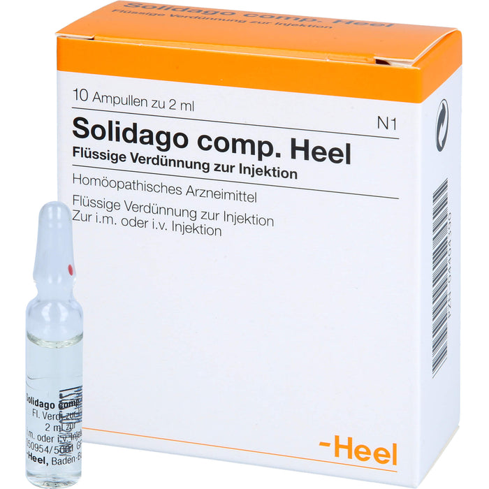 Solidago comp. Heel Ampullen, 10 pc Ampoules