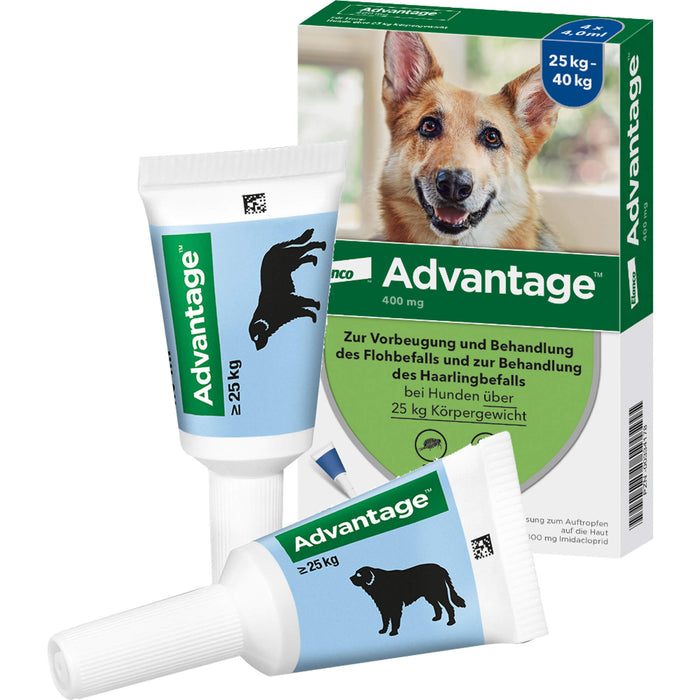 Elanco Advantage 400 bei Hunden 25 kg - 40 kg Lösung zur Vorbeugung und Behandlung des Floh- und Haarlingsbefalls, 4 pcs. Ampoules